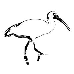 Ibis Logo
