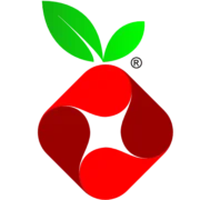 Pi-hole Logo